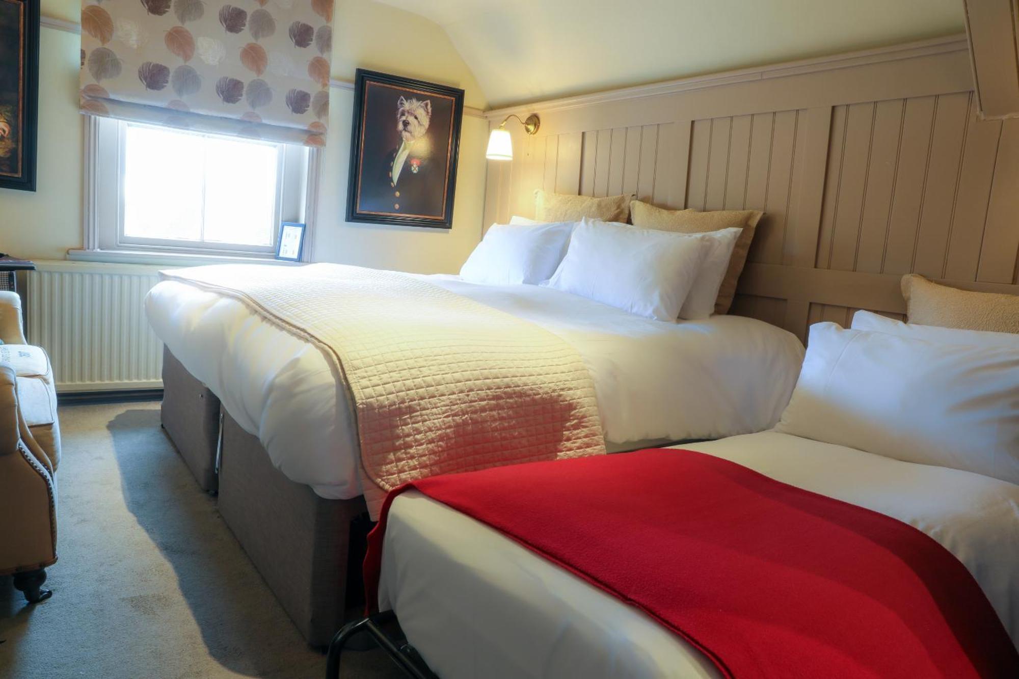 Bed and Breakfast The Kingsbury 7Even 8Ight Marlborough Pokoj fotografie