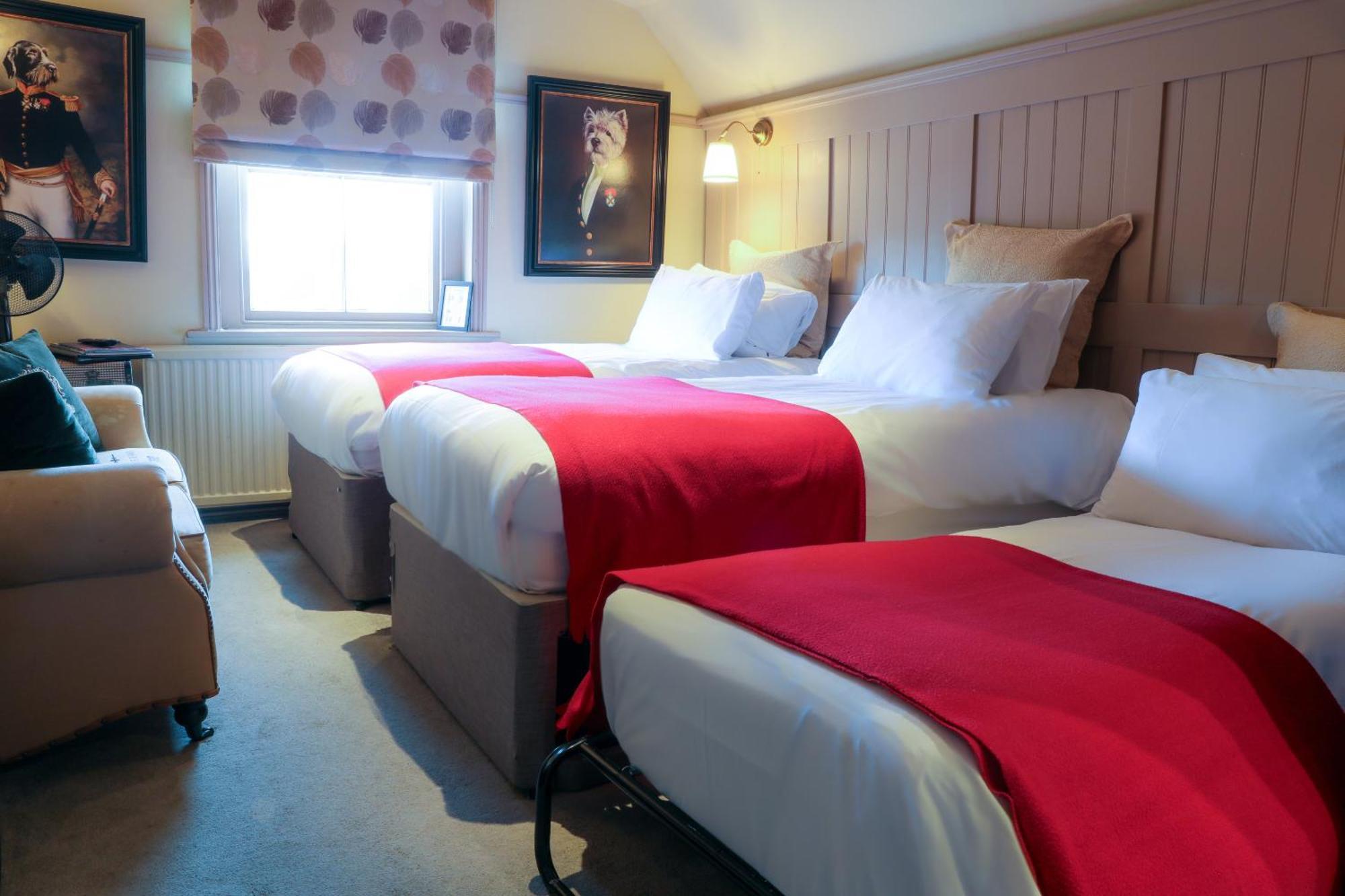Bed and Breakfast The Kingsbury 7Even 8Ight Marlborough Pokoj fotografie